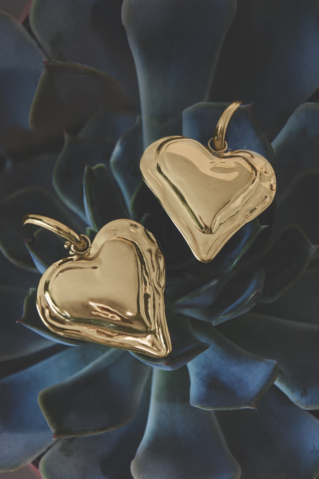 Two gold heart drop earrings with a textured finish resting on dark green succulent leaves.