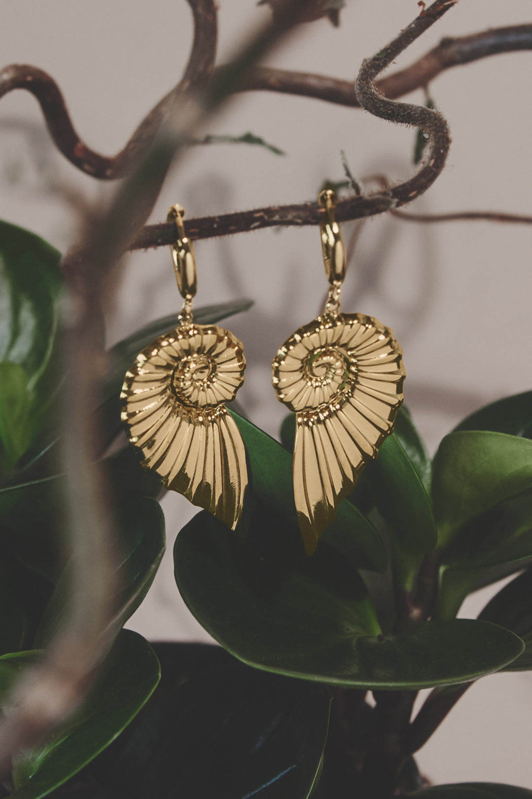 Gold-plated stainless steel hoop earrings shaped like spiral shells with intricate detailing.