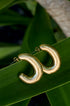 Gold Aurelia Hoop Earrings on a green leaf.