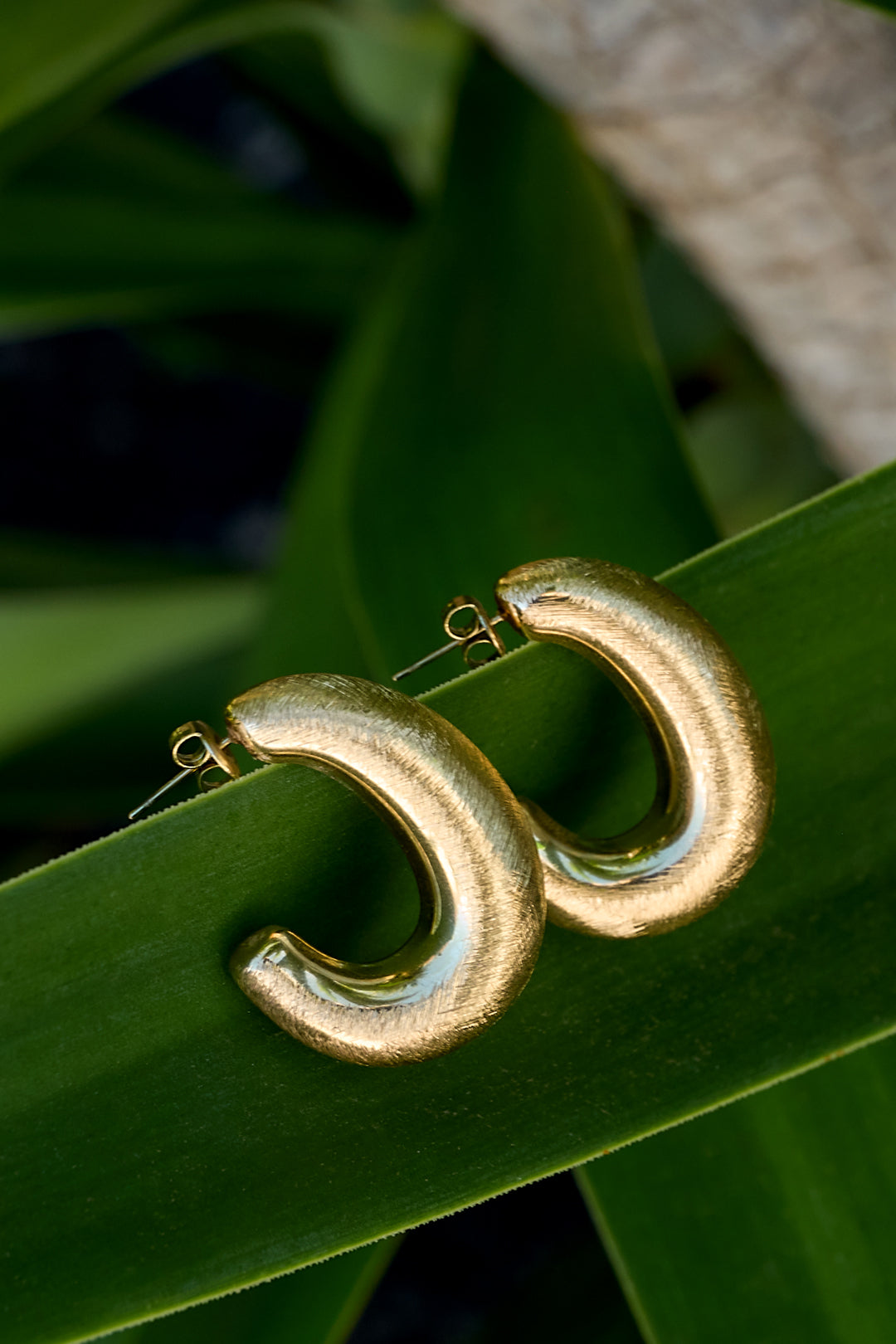 Gold Aurelia Hoop Earrings on a green leaf.