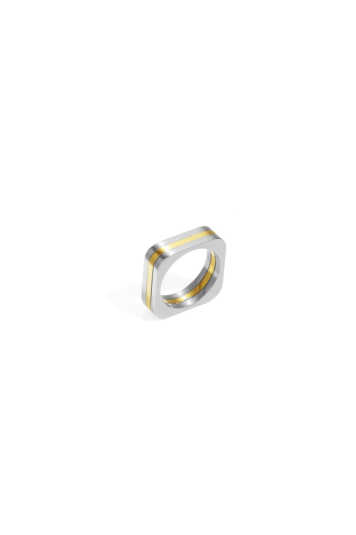 Elysian Minimalist Ring with a silver band and a gold inlay.