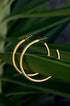 Gold Astra hoop earrings resting on a green leaf.