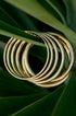 A stack of gold Elara Bangle Bracelets nestled among lush green leaves.
