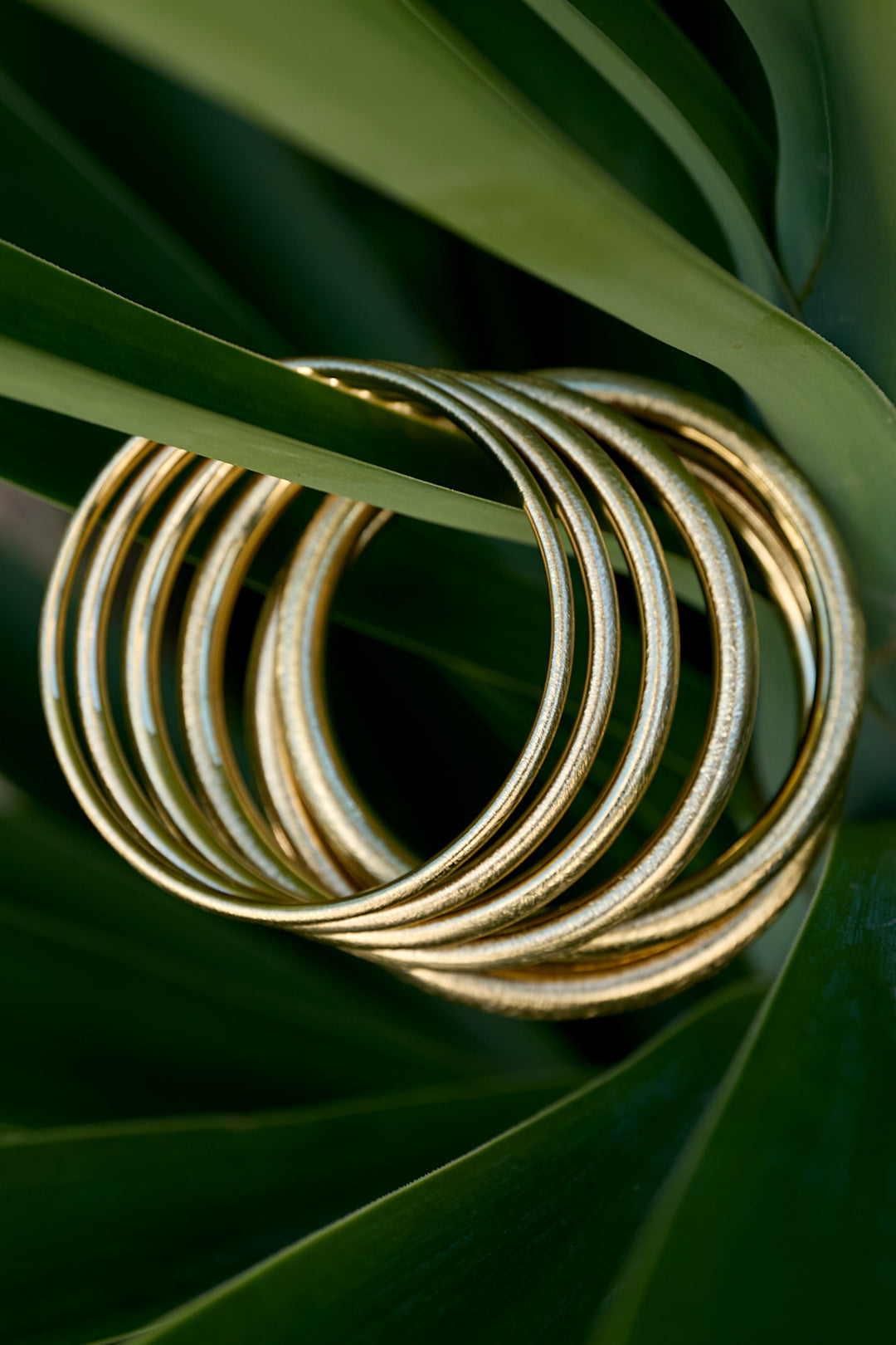 A stack of gold Elara Bangle Bracelets nestled among lush green leaves.
