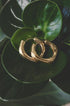 Gold Astra hoop earrings with a square shape and rounded edges resting on green leaves.