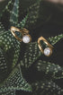 Ondine Irregular Hoop Earrings with diamonds on a succulent plant.