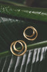 Gold spiral circle stud earrings on a green leaf.