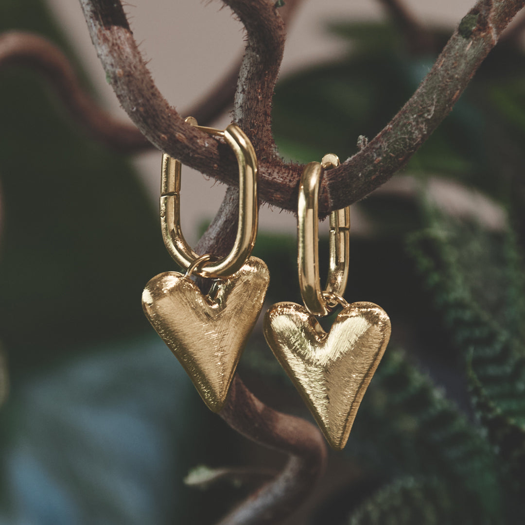 Gold heart drop earrings hanging from a branch.