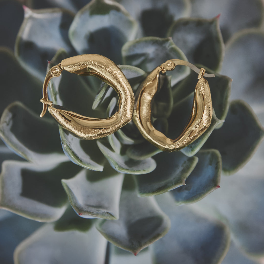 Gold irregular circle hoop earrings resting on a succulent plant.