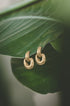 Elysian Link Earrings in matte gold finish, resting on a green leaf.